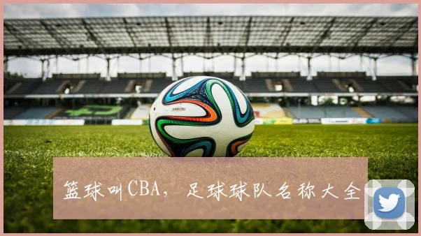 篮球叫CBA，足球球队名称大全