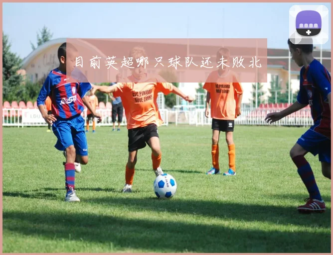 目前英超哪只球队还未败北
