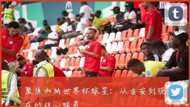 聚焦加纳世界杯球星：从吉安到现在的核心球员