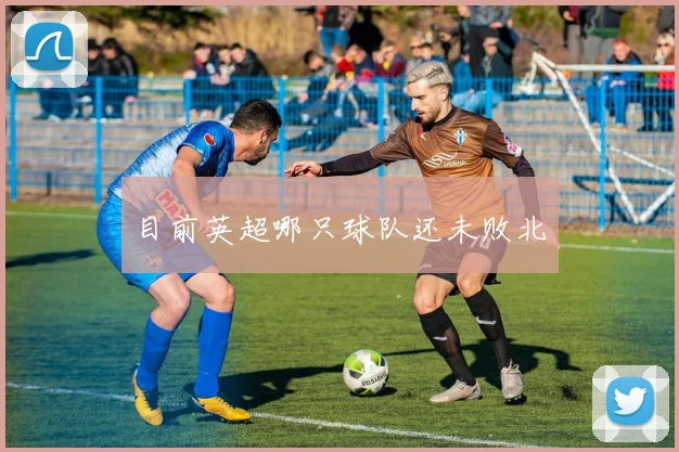 目前英超哪只球队还未败北